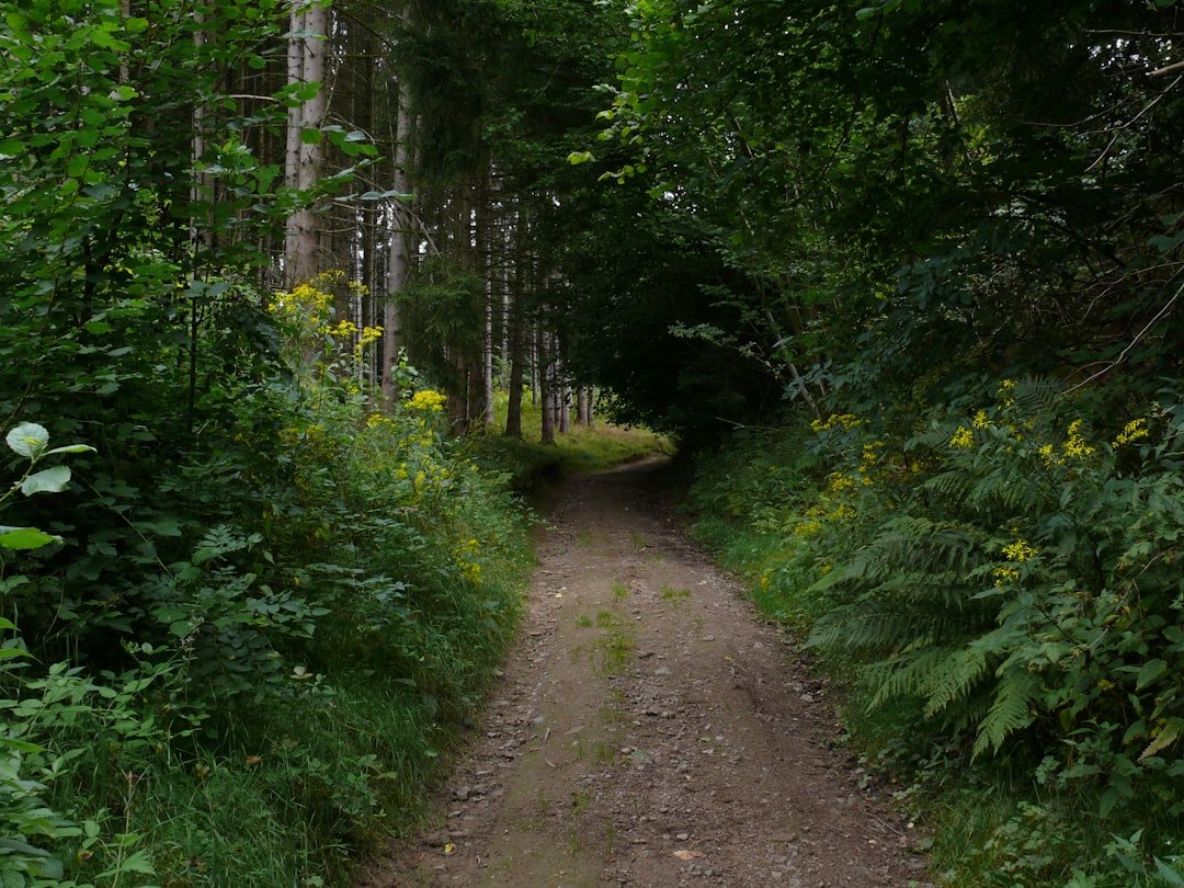 Photo Walking Trails