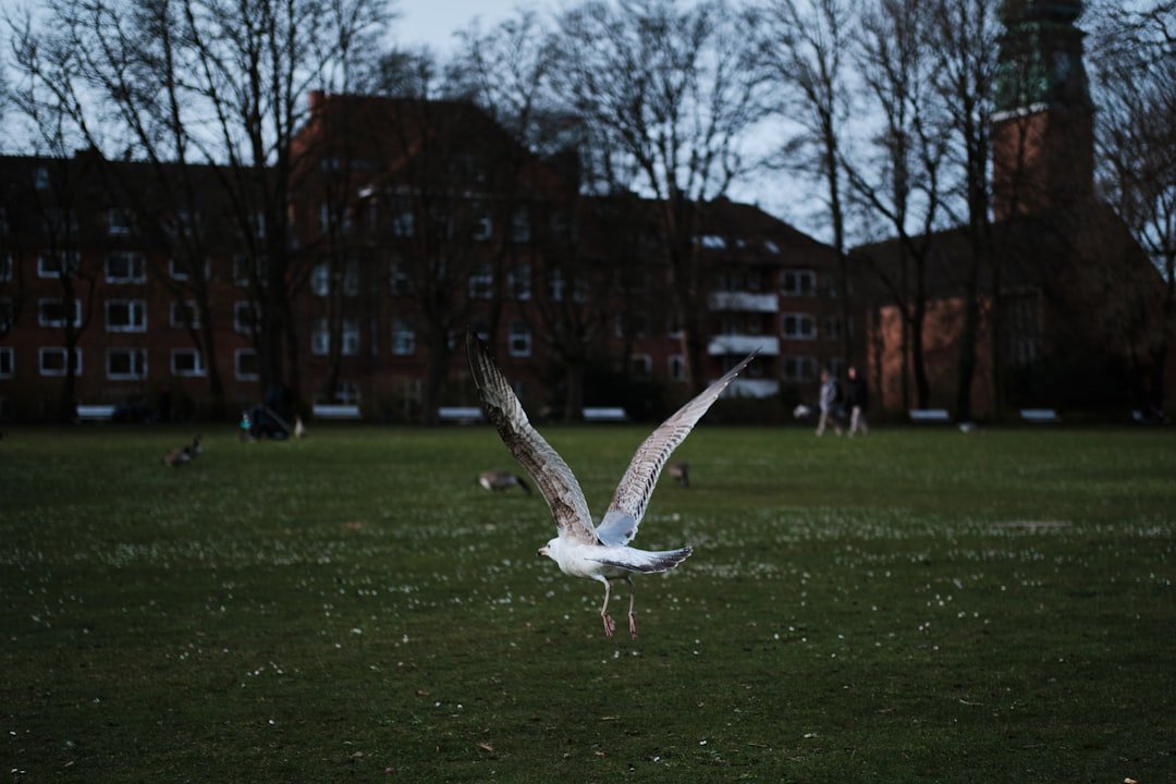 Photo Public Parks